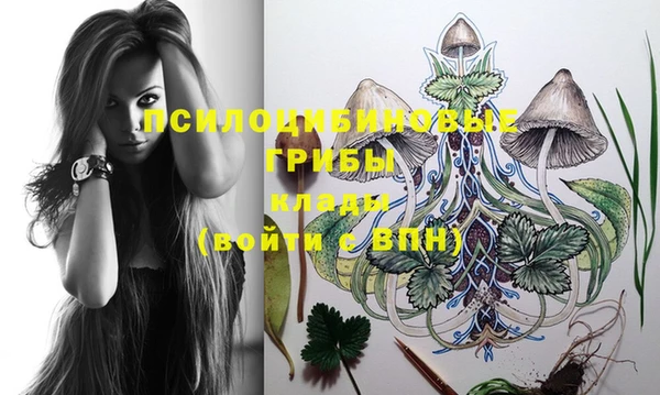прущая мука Покачи