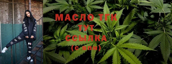 гидра Алексин